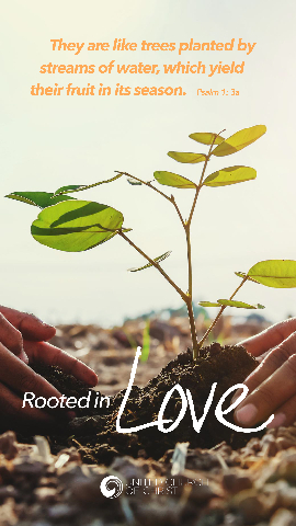 UCC 2021_StewTheme_Vertical